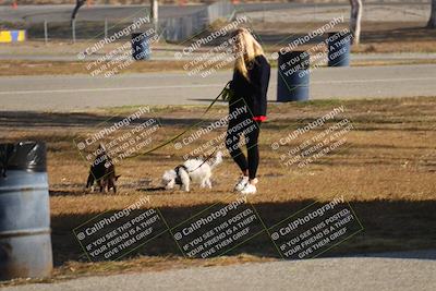 media/Nov-11-2023-GTA Finals Buttonwillow (Sat) [[117180e161]]/Around the Pits/